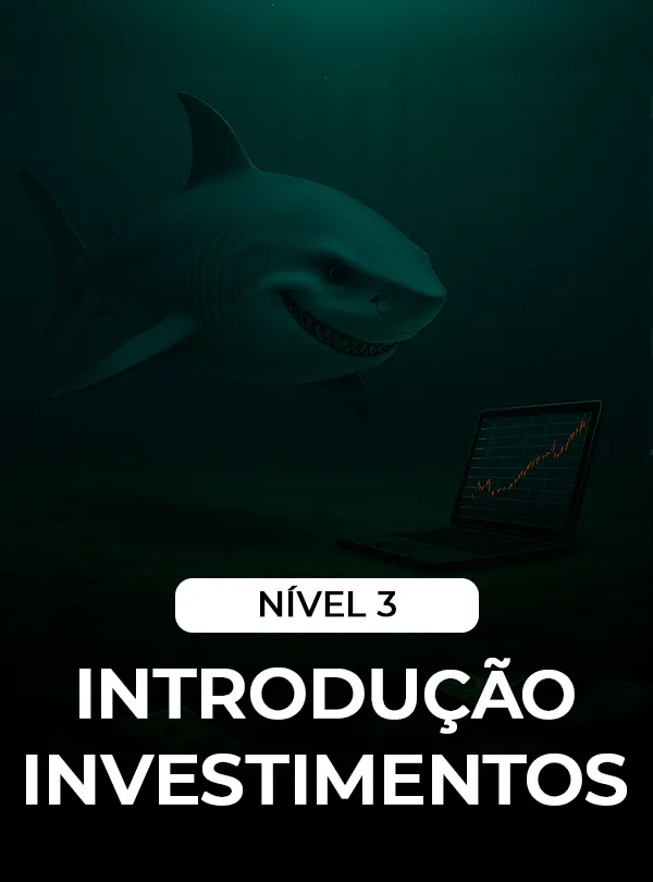 introdução invesimentos